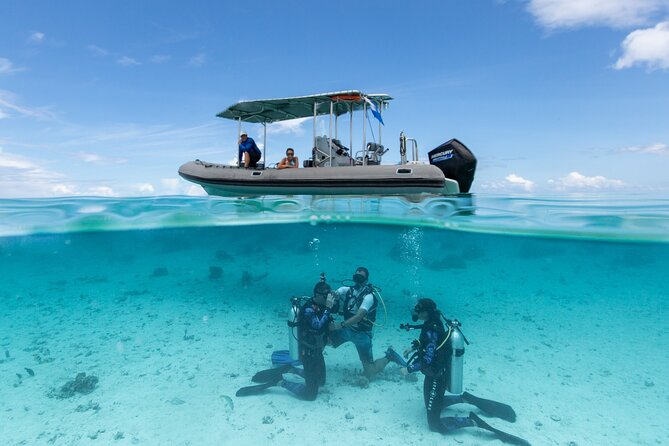 Romantic dive in the lagoon of Bora Bora. Private instructor on a shared boat - The 2:00 pm Start and Shared Boat Ride