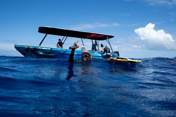 Sacred Experience Swimming with a Whale in Moorea - What the boat ride feels like