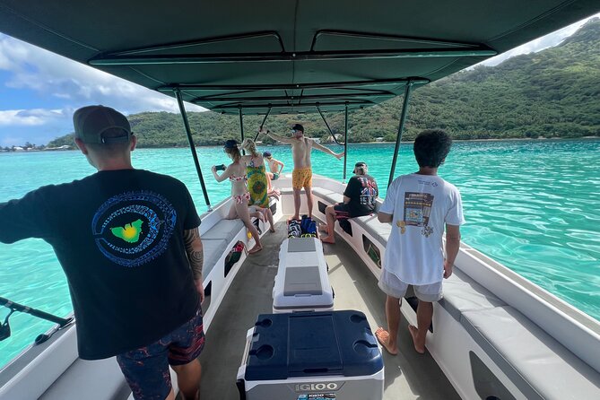 Sacred Experience Swimming with a Whale in Moorea - What the $157.90 price buys you