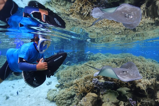 Sea Scooter Jet Snorkeling "Moorea Dream Adventure" - Temae Beach and Turtle Town