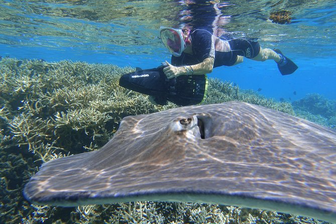 Sea Scooter Jet Snorkeling "Moorea Dream Adventure" - Is $174.63 a fair price?