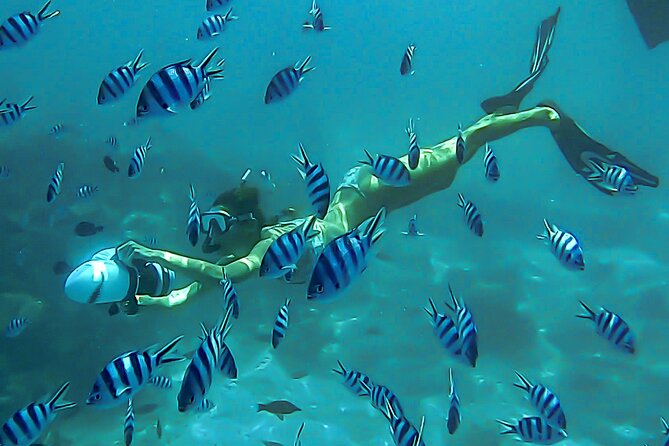 Sea Scooter Snorkel Tour - Lagoon Discovery : Wrecks, Coral Gardens and Tropical Fishies - Key points to know before you book