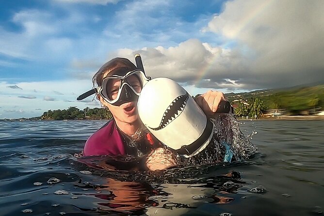 Sea Scooter Snorkel Tour - Lagoon Discovery : Wrecks, Coral Gardens and Tropical Fishies - Wrecks, coral gardens, and fish in one compact site