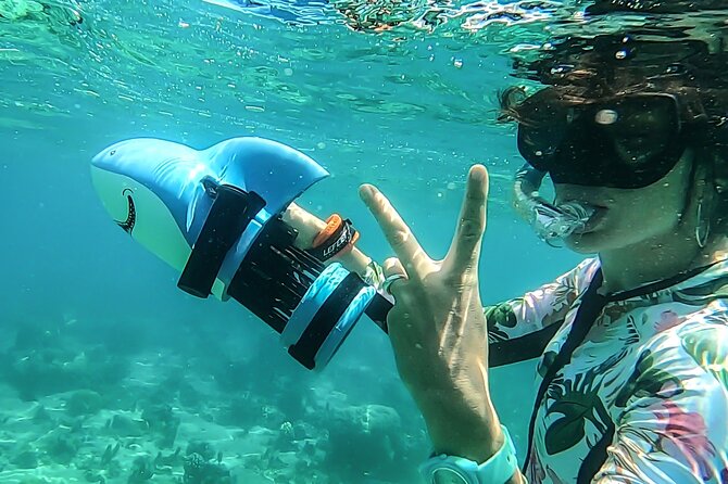 Sea Scooter Snorkel Tour - Lagoon Discovery : Wrecks, Coral Gardens and Tropical Fishies - What you may see beneath the surface