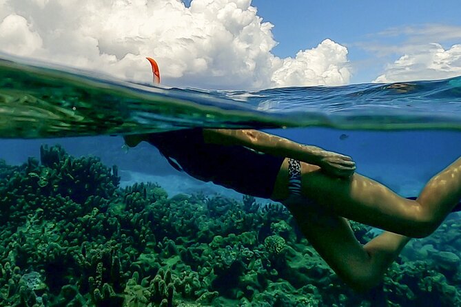Sea Scooter Snorkel Tour - Lagoon Discovery : Wrecks, Coral Gardens and Tropical Fishies - What the $109 price includes