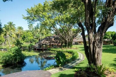 Shared 2 Hour Papeete Walking Tour