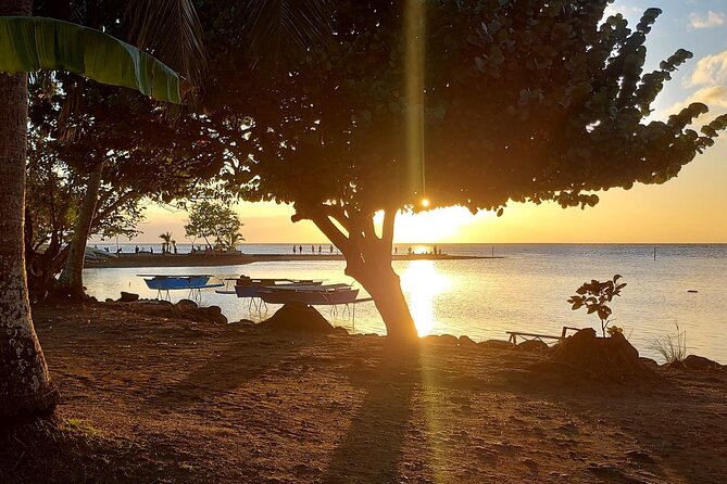 Shared 4.5h Circle Island Tour of Tahiti Nui by Lydia - Time, comfort, and what to expect on the road