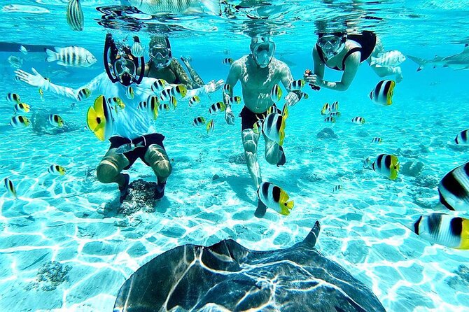 SHARED HALF DAY LAGOON TOUR - Bora Bora Cultural Lagoon Tour - Key points to know before booking