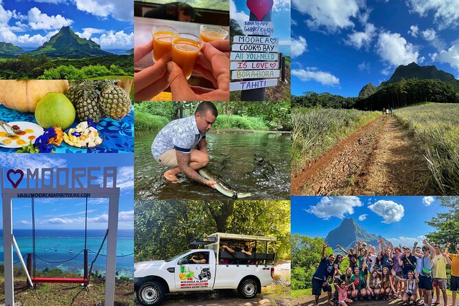 Shared Transfer: Hotel or Cruise Port to Tahiti Airport - Service touches that make a difference