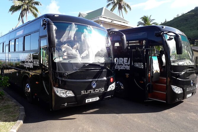 Shared Transfer : Moorea Airport (or) Pier to Hotel - Meeting the shuttle at the Moorea ferry pier