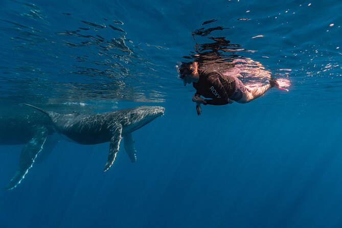 Shared Whale Expedition - The people running the experience
