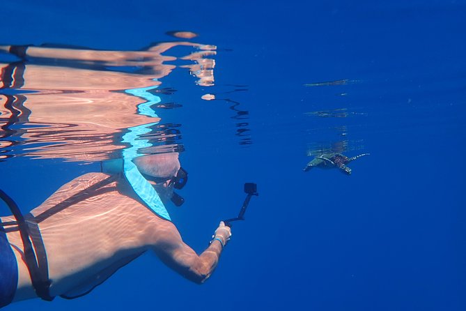 Small group snorkeling (5 people max): Turtles at 7:30am - Is $104.65 a fair price?