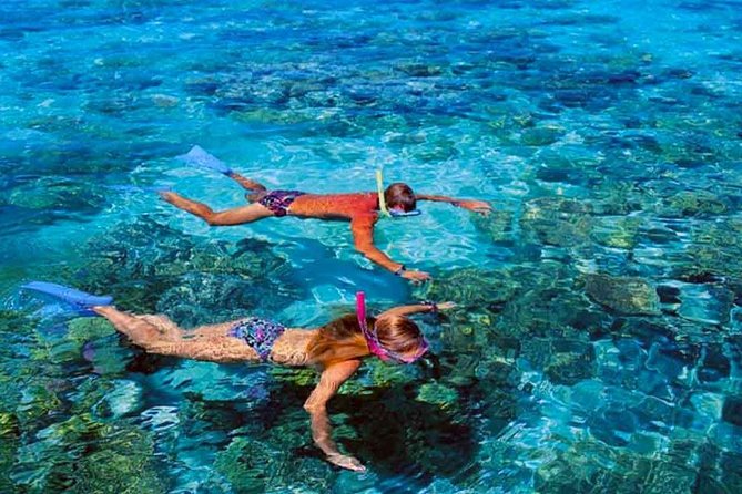 Small group snorkeling (5 people max): wrecks & tropical fishes at 1:00pm - Is $99.67 a fair price?