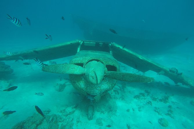 Small group snorkeling (5 people max): wrecks & tropical fishes at 10:30am - Who should book this Tahiti snorkeling trip?