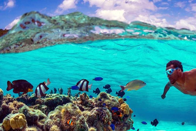 Small group snorkeling (5 people max): wrecks & tropical fishes at 10:30am - Practical planning for your morning