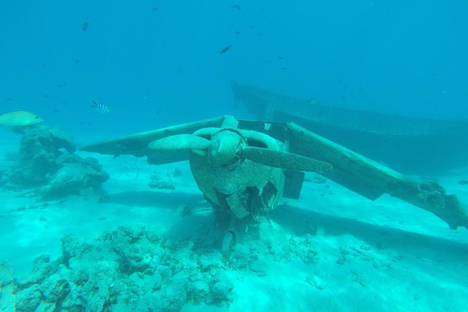 Small group snorkeling (5 people max): wrecks & tropical fishes at 3:30pm - Key points to know before booking