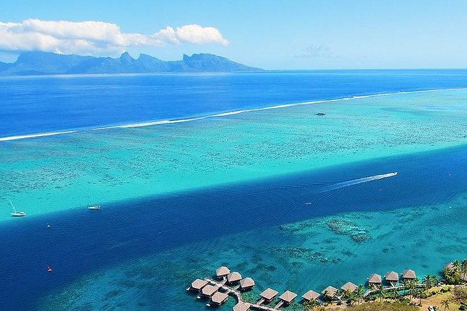 Small group snorkeling (5 people max): wrecks & tropical fishes at 3:30pm - The 3:30pm start at Marina Taina