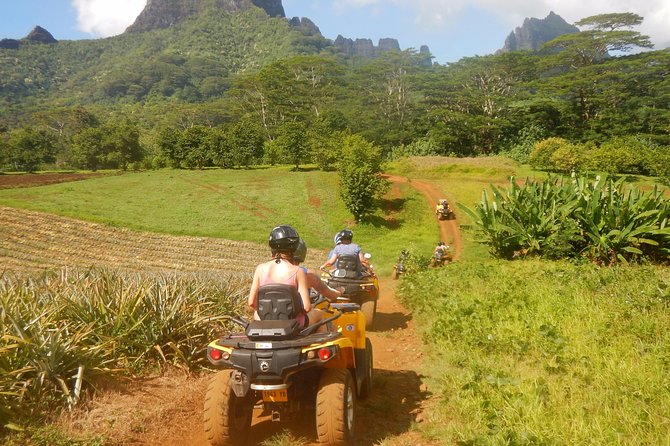 Small Quad Tour 2h30 Quad excursion in Moorea (single or two-seater) - Forest paths, farms, and small river crossings