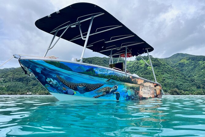 Snorkeling EN Small Group Tour in Tahiti - Exploring the springs and three basalt peaks