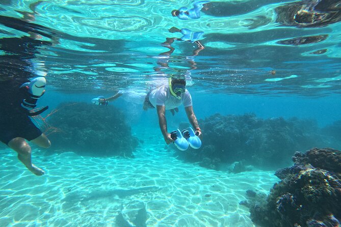 Snorkeling EN Underwater Scooter in Tahiti - Meeting at Marina Taina in Punaauia