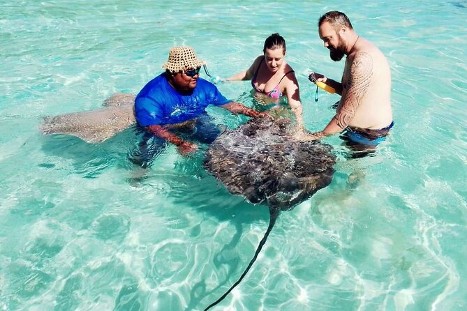 Snorkeling excursion and encounter with marine fauna in Moorea - Six hours on Moorea’s yellow boat