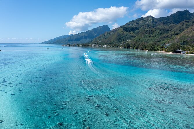 Snorkeling excursion and encounter with marine fauna in Moorea - Snorkeling with turtles, rays, and reef sharks