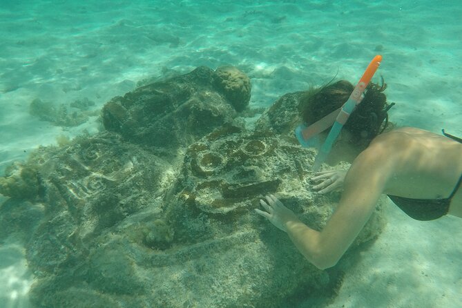 Snorkeling excursion and encounter with marine fauna in Moorea - Support for less confident swimmers