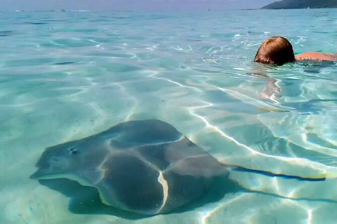 Snorkeling excursion and encounter with marine fauna in Moorea - Lunch with your feet in the water