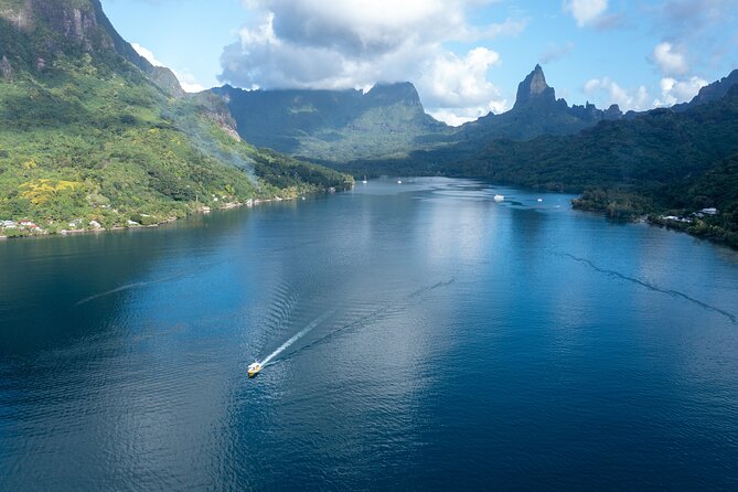 Snorkeling excursion and encounter with marine fauna in Moorea - Why the small group changes the day