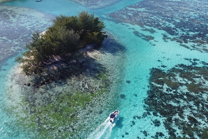 Snorkeling excursion, discovery of the lagoon, small group. - The sandbank with rays and reef sharks