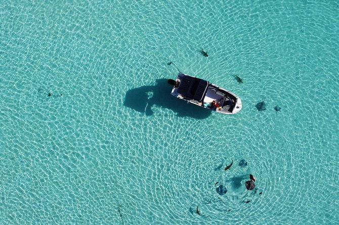 Snorkeling excursion, discovery of the lagoon, small group. - Two reef stops for coral and fish