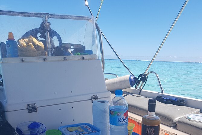 Snorkeling excursion, discovery of the lagoon, small group. - Alex’s approach to guiding