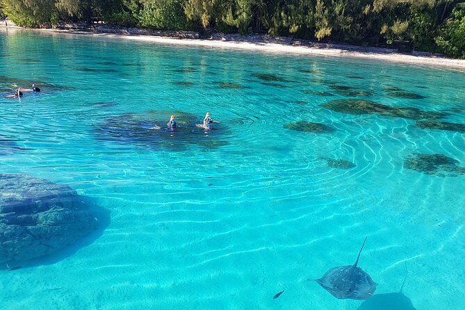 Snorkeling excursion, discovery of the lagoon, small group. - How the timing helps avoid the crowds