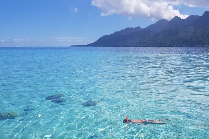 Snorkeling excursion, discovery of the lagoon, small group. - What the $118.46 price really buys