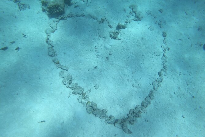 Snorkeling picnic in 4h30 with lunch in Tahiti - Rays at the white sandbar