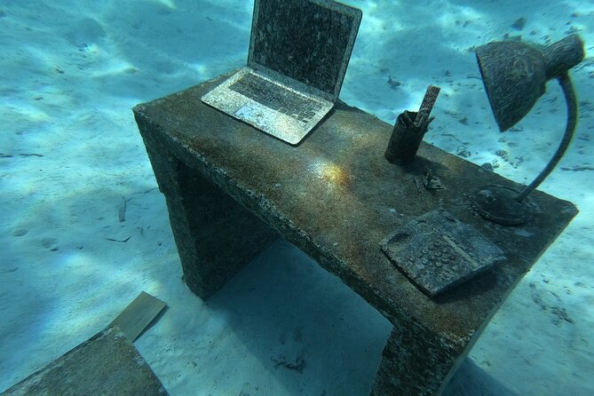 Snorkeling picnic in 4h30 with lunch in Tahiti - The boat, equipment, and physical demands