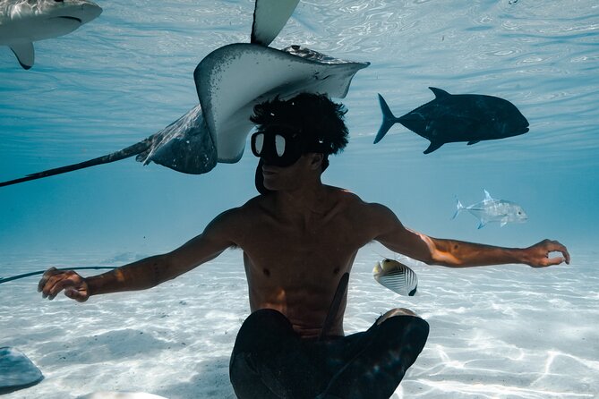 Snorkeling Safari Moorea (Half Day Tour) - Coral gardens and tropical fish