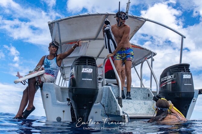 Snorkeling Safari Moorea (Half Day Tour) - What is included, and what you need to bring