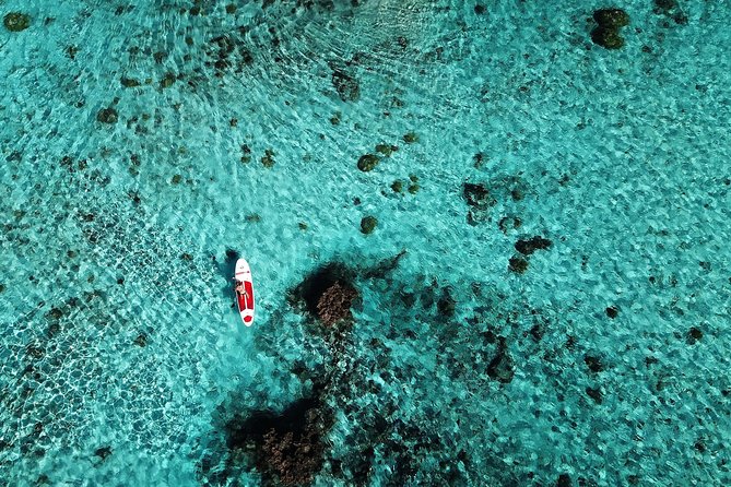 Stroll out of time on the lagoon of Bora Bora - Choosing between a downwind run and coral views