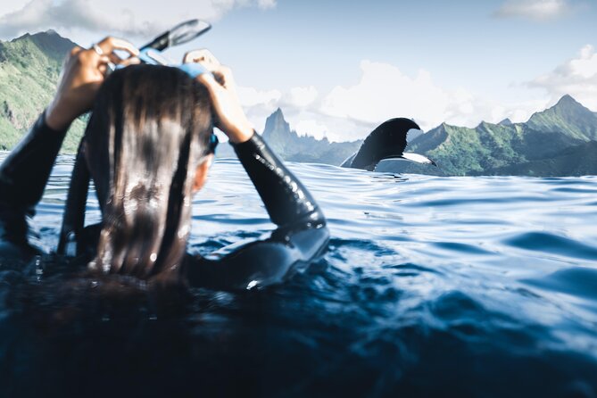 Swimming with Whales in Moorea (Half Day tour) - Searching Moorea’s waters for humpback whales