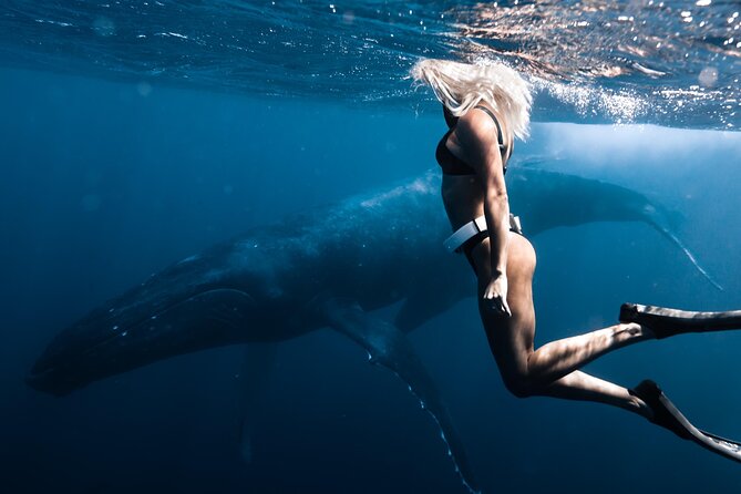 Swimming with Whales in Moorea (Half Day tour) - The physical challenge is real