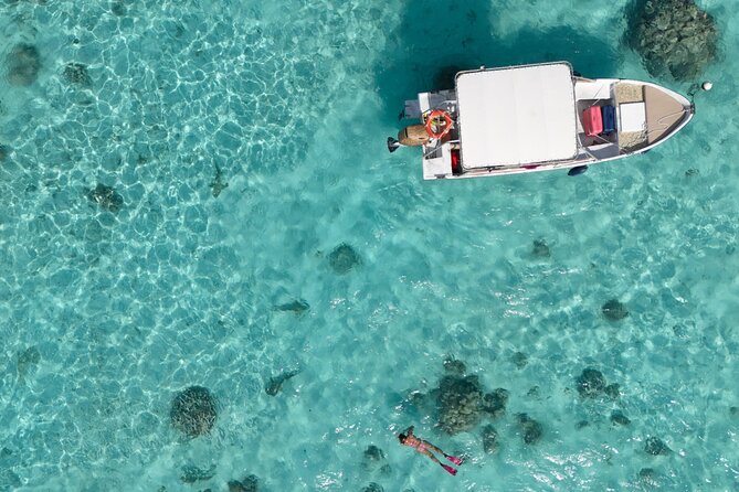 Taha'a Island or Raiatea Boat Tour - Vanilla at Vanilla Prods Shop