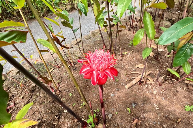 Taha'a Island or Raiatea Boat Tour - A Taste at Boutique Manao