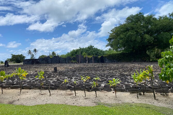 Taha'a Island or Raiatea Boat Tour - Learning About Pearls at Iaorana Pearl Farm