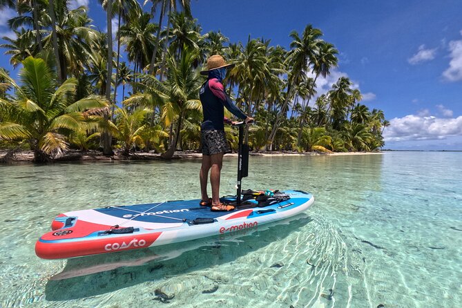 Tahaa Excursion in Electric Paddle Snorkeling Coral Garden - Key points to know before booking