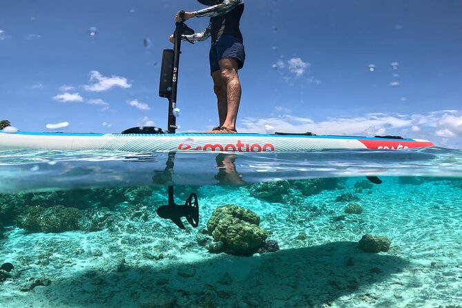 Tahaa Excursion in Electric Paddle Snorkeling Coral Garden - Why Taha’a is especially good for a lagoon outing