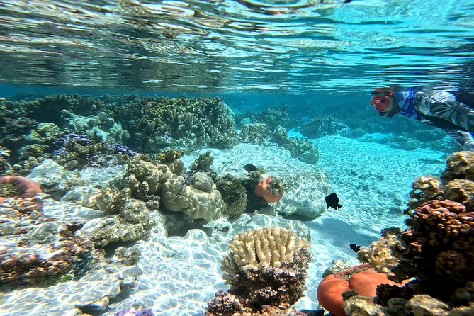 Tahaa Excursion in Electric Paddle Snorkeling Coral Garden - A gentle route from Taha’a, with views toward Raiatea