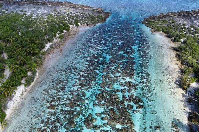 Tahaa Excursion in Electric Paddle Snorkeling Coral Garden - What the three-hour morning schedule feels like