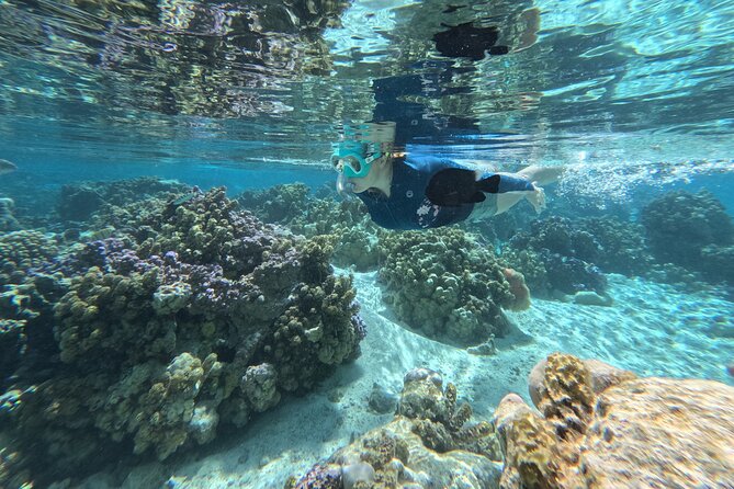 Tahaa Excursion in Electric Paddle Snorkeling Coral Garden - Equipment, swimming ability, and comfort