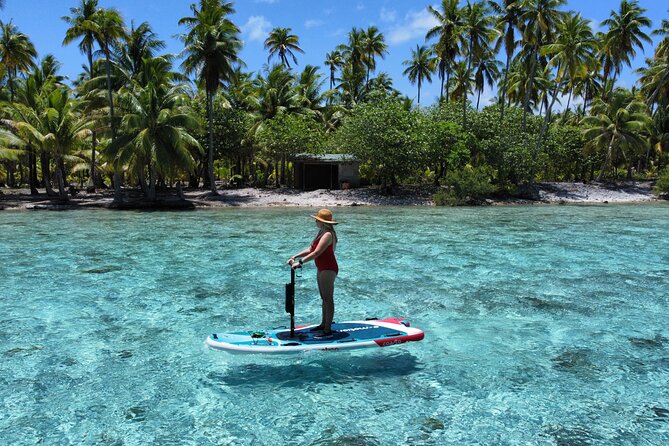 Tahaa Excursion in Electric Paddle Snorkeling Coral Garden - What the $128.23 price gets you
